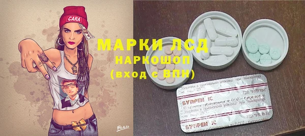 гидропоника Алзамай
