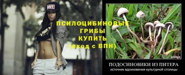 эйфоретик Алексин